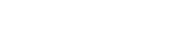 全年资料